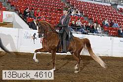 13buck_4610 proof