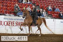 13buck_4611 proof