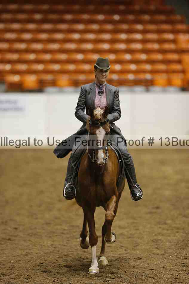 Proof 13buck_4614