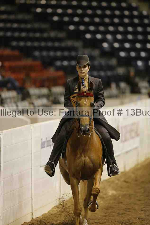 Proof 13buck_4617