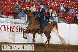 13buck_4618 proof
