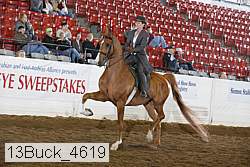 13buck_4619 proof