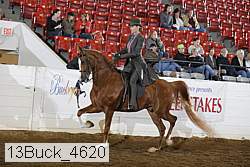 13buck_4620 proof