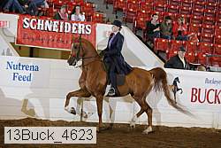13buck_4623 proof