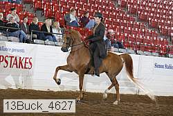 13buck_4627 proof
