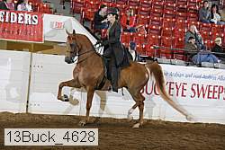 13buck_4628 proof