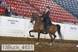 13buck_4631 proof