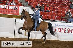 13buck_4634 proof