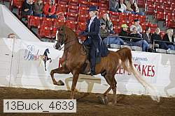 13buck_4639 proof