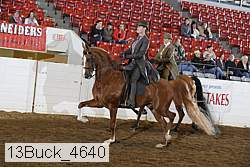 13buck_4640 proof