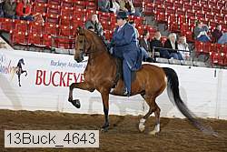 13buck_4643 proof