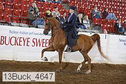 13buck_4647 proof