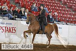 13buck_4648 proof