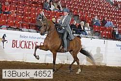13buck_4652 proof