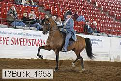 13buck_4653 proof