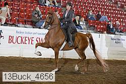13buck_4656 proof