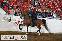 13buck_4659 proof