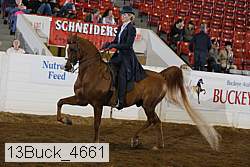 13buck_4661 proof