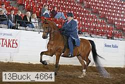 13buck_4664 proof