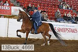 13buck_4666 proof