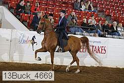 13buck_4669 proof