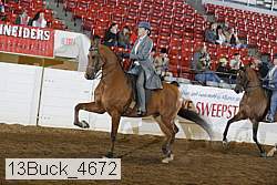 13buck_4672 proof