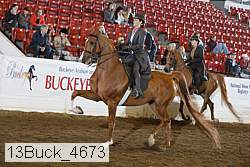 13buck_4673 proof