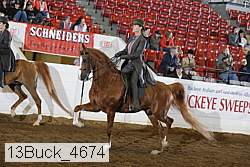 13buck_4674 proof