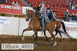 13buck_4683 proof
