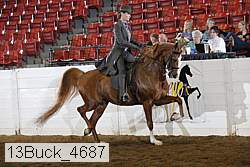 13buck_4687 proof