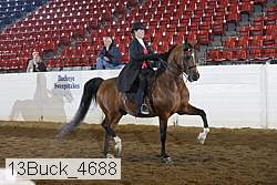 13buck_4688 proof