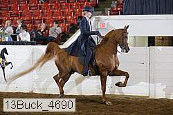 13buck_4690 proof