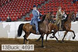 13buck_4691 proof