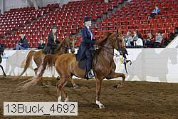 13buck_4692 proof