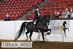 13buck_4693 proof