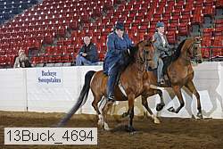 13buck_4694 proof