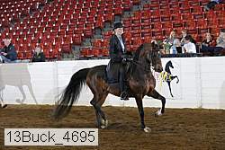 13buck_4695 proof