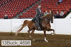 13buck_4696 proof