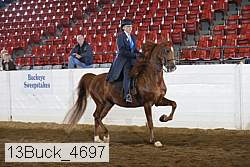 13buck_4697 proof