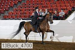 13buck_4700 proof