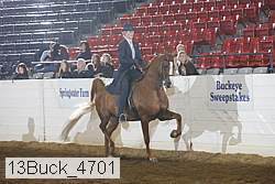 13buck_4701 proof