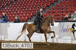 13buck_4702 proof