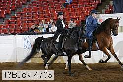 13buck_4703 proof