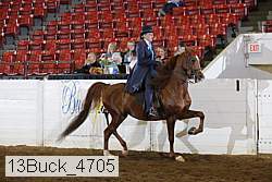 13buck_4705 proof