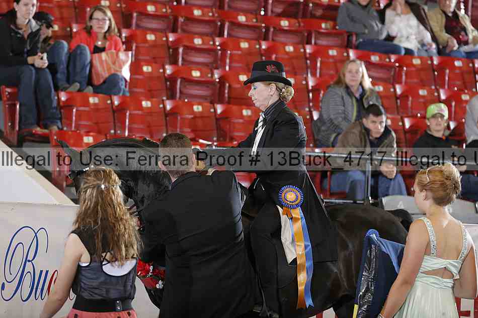 Proof 13buck_4717