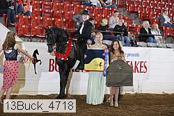 13buck_4718 proof