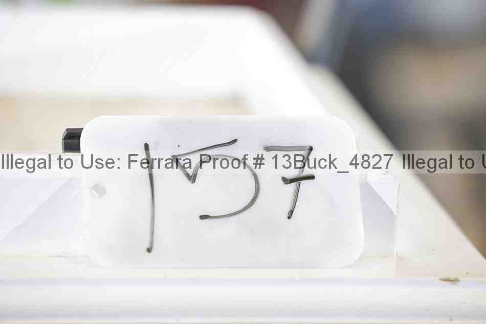 Proof 13buck_4827