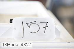 13buck_4827 proof