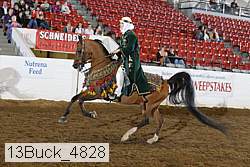 13buck_4828 proof