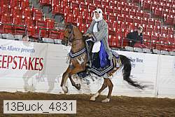 13buck_4831 proof